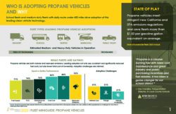 Fleet Miniguides - The State of Sustainable Fleets